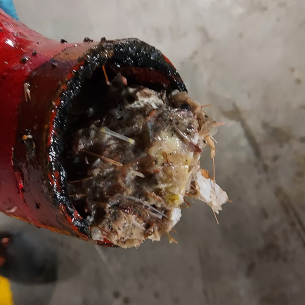 desentupimentos canos